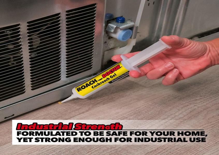 عجينة الصراصير السحرية عجينة الصراصير السحرية أدوات المنزل والتخزين عجينة الصراصير السحرية عجينة الصراصير السحرية أدوات المنزل والتخزين